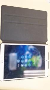Ipad Rif_24824