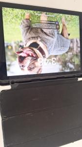 Tablet Rif_25431