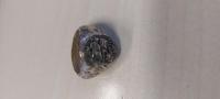 anello_rif. 22881