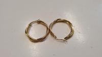 Earrings Rif_24574
